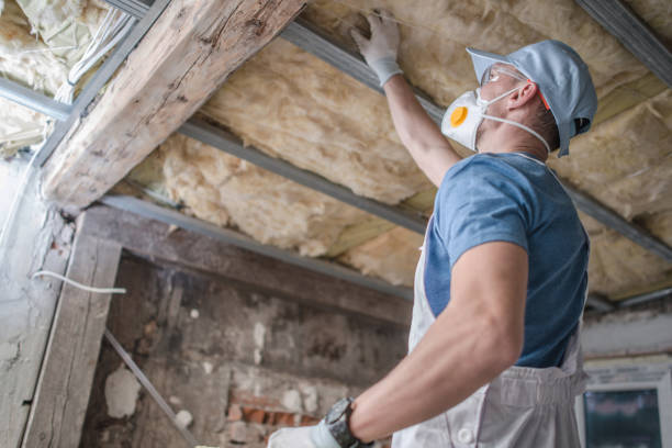 Best Cellulose Insulation in Mount Vernon, OH